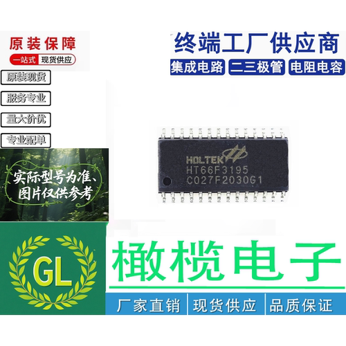 HT66F3195 SSOP-28 封装 内置EEPROM AD Flash单片机1.8V至5. 5V