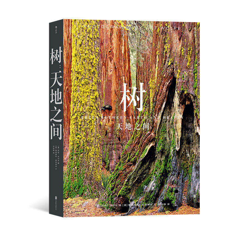 新书现货 树 天地之间 著名生态风光摄影师阿特沃尔夫的树木礼赞 近300张照片展现构图技艺呈现自然奇观影集画册书籍 后浪正版