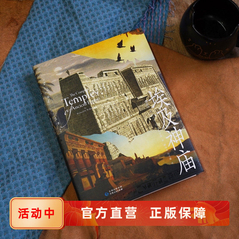 新书现货 埃及神庙 古埃及宗教建筑建造过程结构分类社会功能地位 人文历史书籍 地域文化信仰遗迹复原图 后浪正版速发