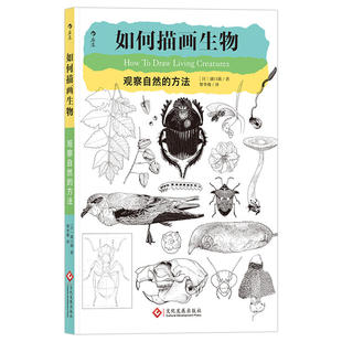 博物學家盛口滿靜物風景素描繪畫教程 手繪技巧書籍 如何描畫生物 方法 動植物觀察記錄 手賬素材速寫 現貨 觀察自然 后浪正版