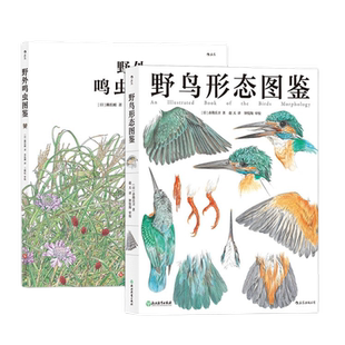 户外生物观察图谱2册套装 野鸟形态图鉴 野外鸣虫图鉴 观鸟昆虫爱好者科普图集 亲子郊游初中生物启蒙书籍 后浪正版直营速发