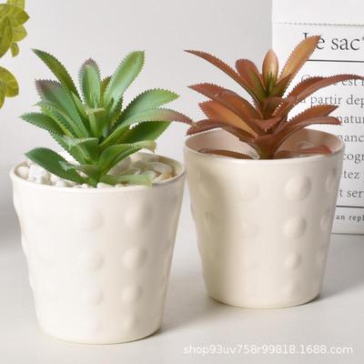 白色简约塑料花盆加厚耐用孔桌面
