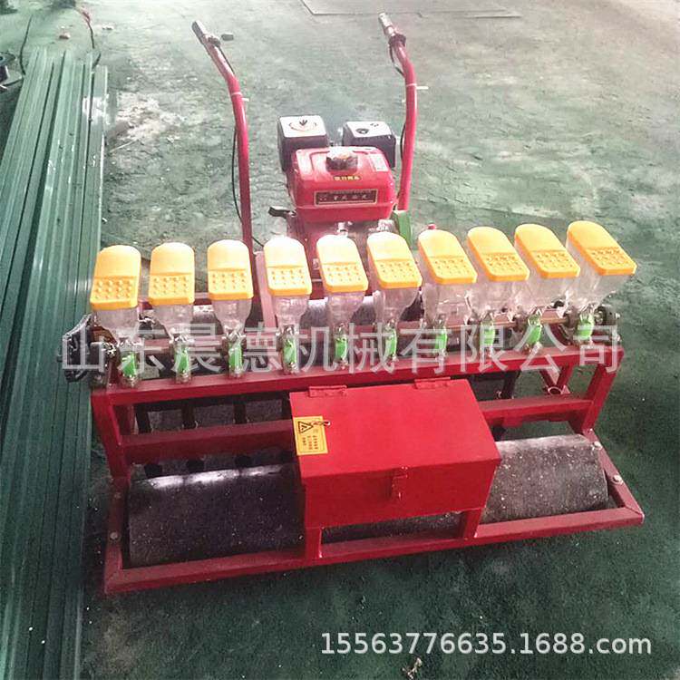 多用途蔬菜播种机 汽油款10行点种机小型萝卜香菜精播机