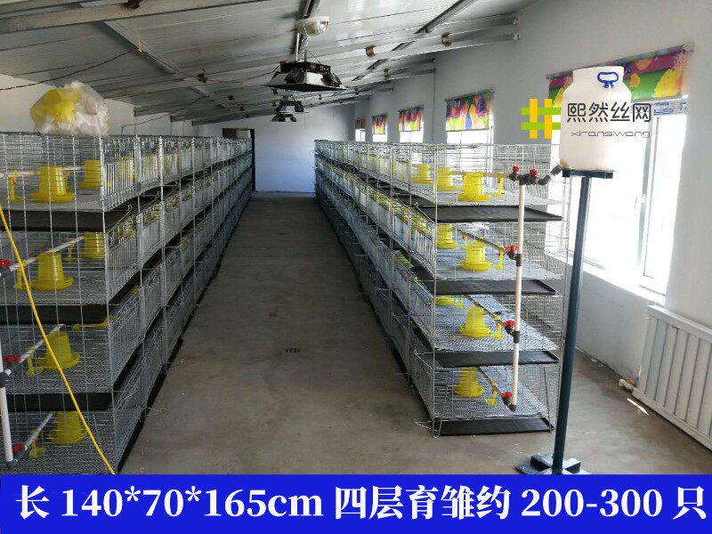 供应加粗加密小鸡笼子养殖育雏笼立体式四层脱温鸡苗肉鸡笼厂设备