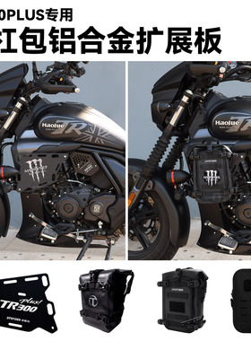 适用豪爵TR300plus改装保险杠装饰盖板护杠罩侧盖发动机护板配件