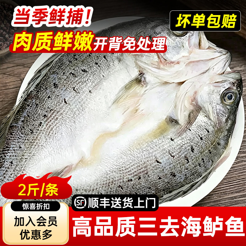 海鲈鱼开背新货鲜冻冷冻鲜活清蒸海卢鱼水产烤鱼半成品商用 - 实物图