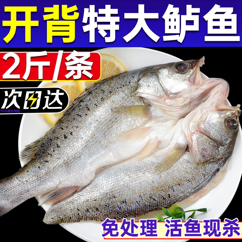 清蒸海鲈鱼深海野生特大新鲜活三去开背白蕉七星海鲈鱼预制菜商用,水产肉类/新鲜蔬果/熟食,鲈鱼,淘宝优惠券,粉丝福利购,淘宝优惠卷