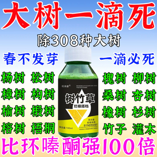 杀树烂根专用药大树一针死毒树王枯树药大树一滴死烂根除大树专用