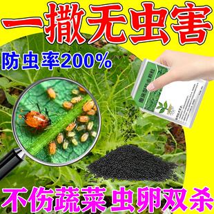 蔬菜除虫颗粒菜地防虫无毒撒施型专用剂菜地萝卜白青菜辣椒百虫清