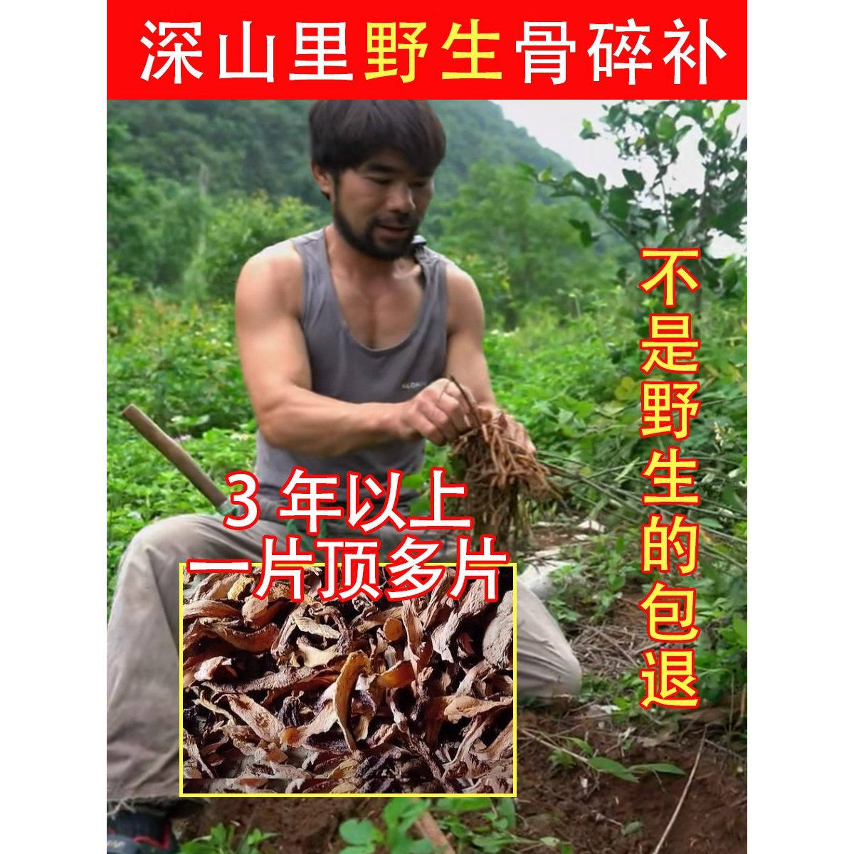 深山纯野生骨碎补500g中药材片饮粉特级申姜石姜巴崖姜生发毛姜干