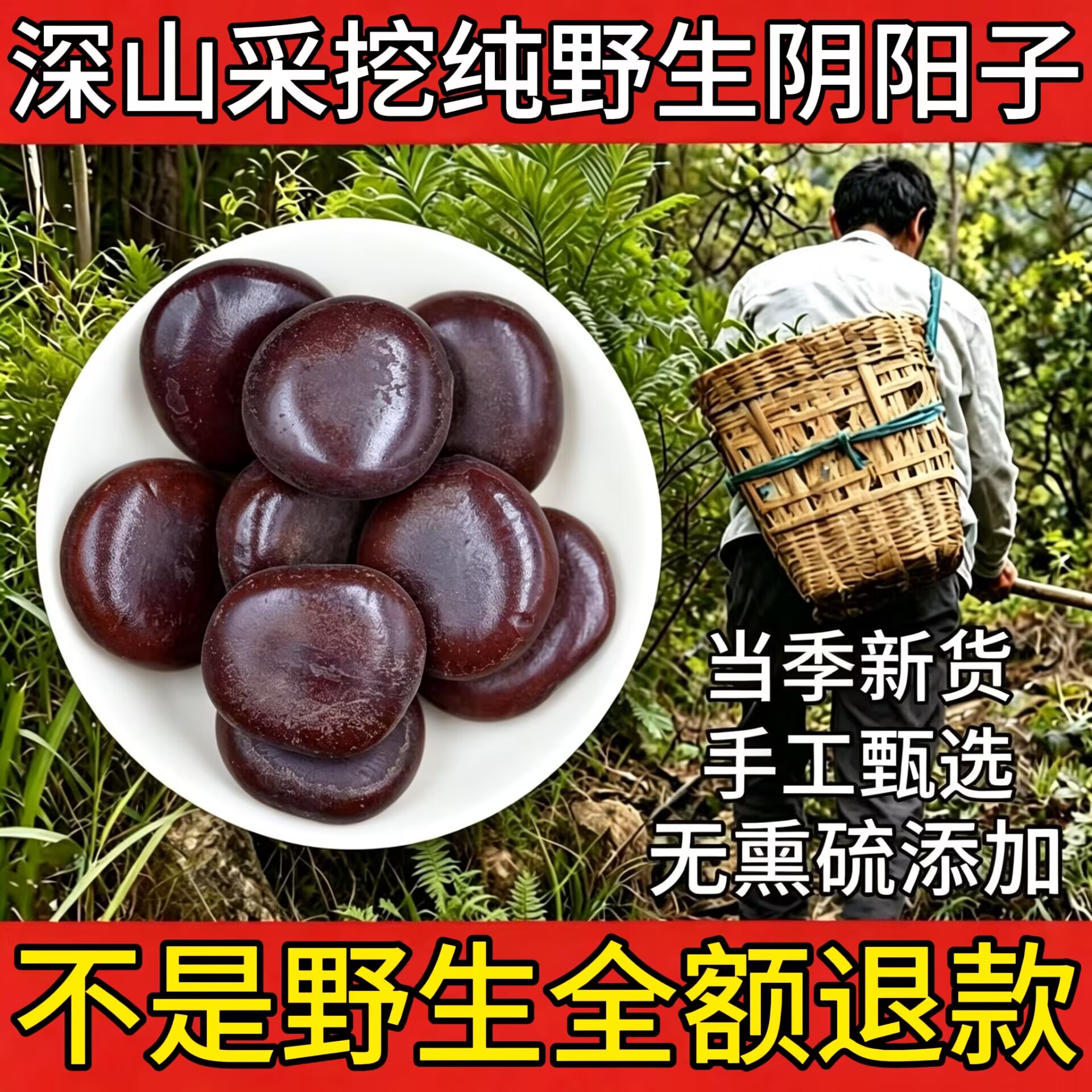 野生正品阴阳子回春果过江龙木腰子龙凤子新货搭风流果双肾子泡酒