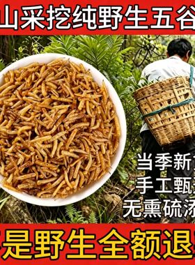 野生五黄金谷虫正品干净无杂新货