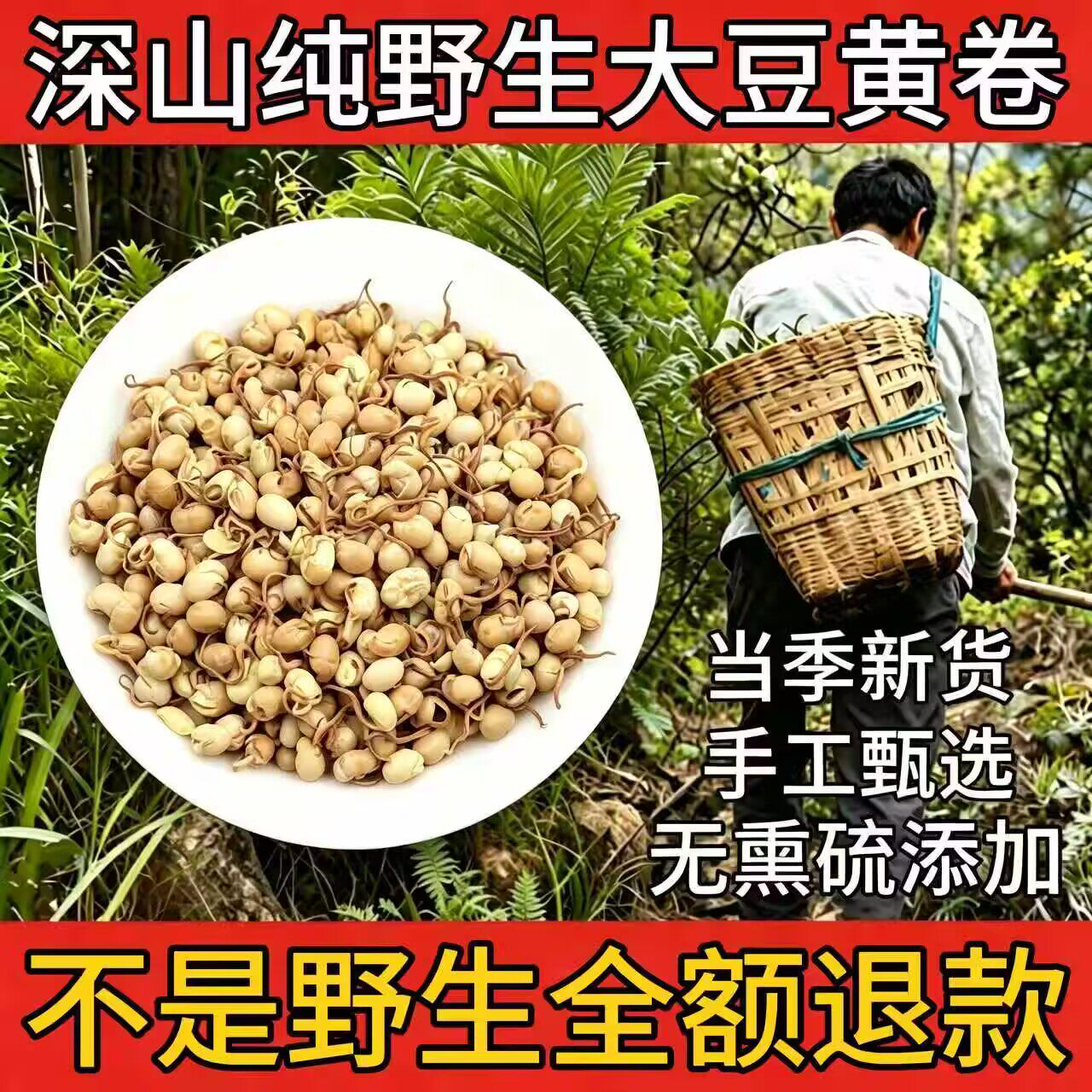 野生大豆黄卷中药材500g正品优质大豆卷黄豆卷祛暑湿胸闷泡水新货