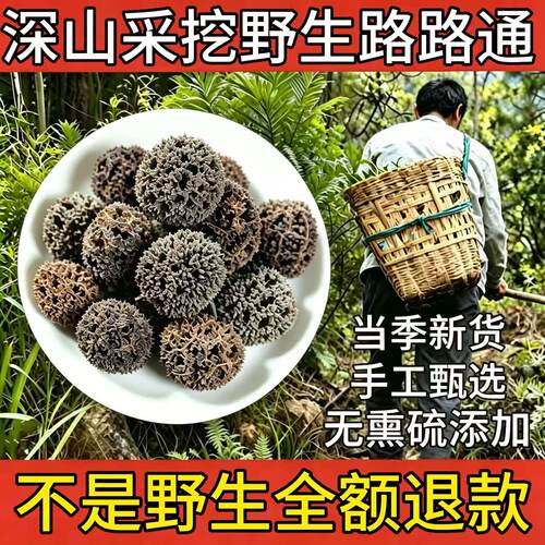 野生路路通中药材干货天然无硫熏蒸自然原六六通璐璐通泡脚枫球子