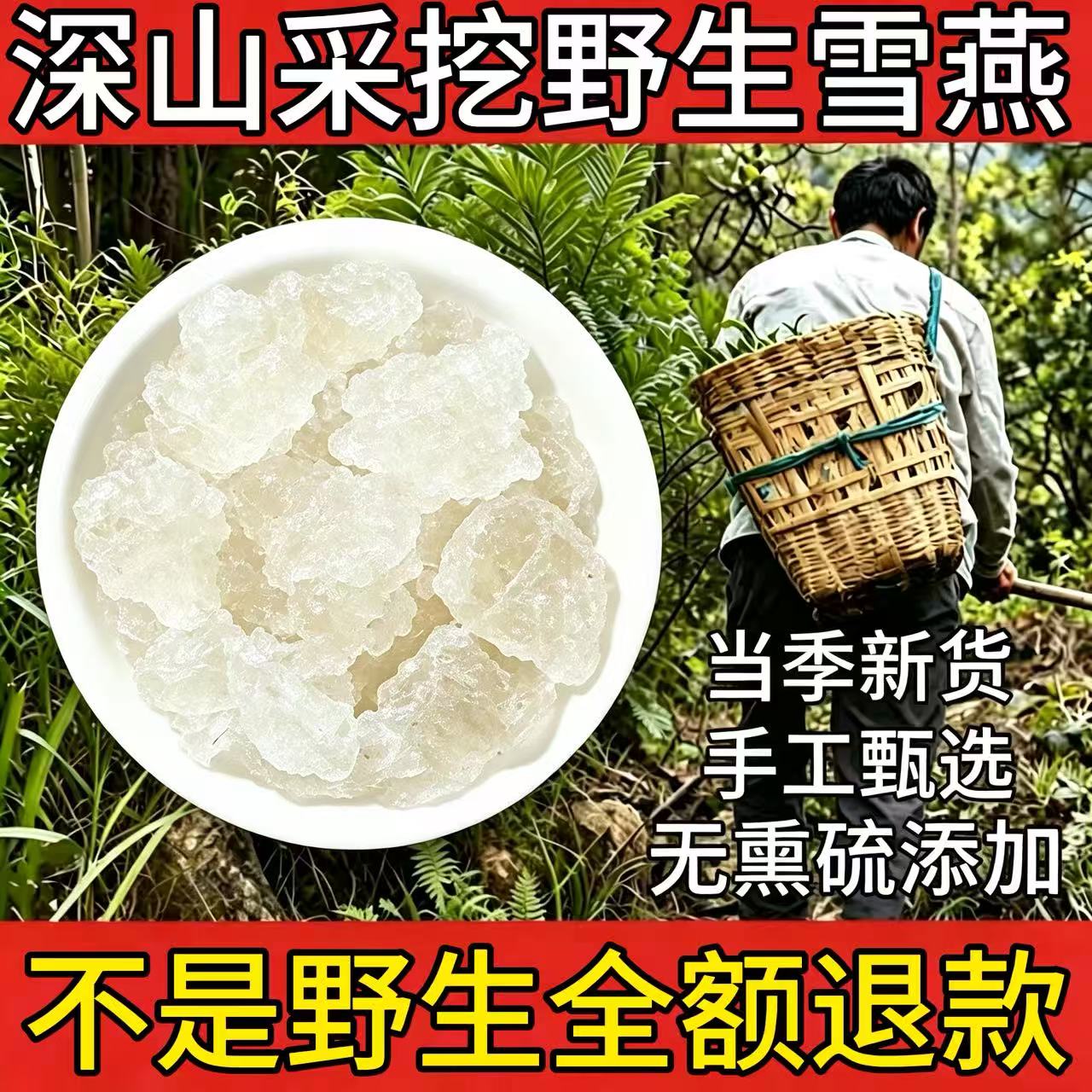 云南野生雪燕中药材天然干货正品拉丝雪燕可搭配桃胶皂角米银耳羹