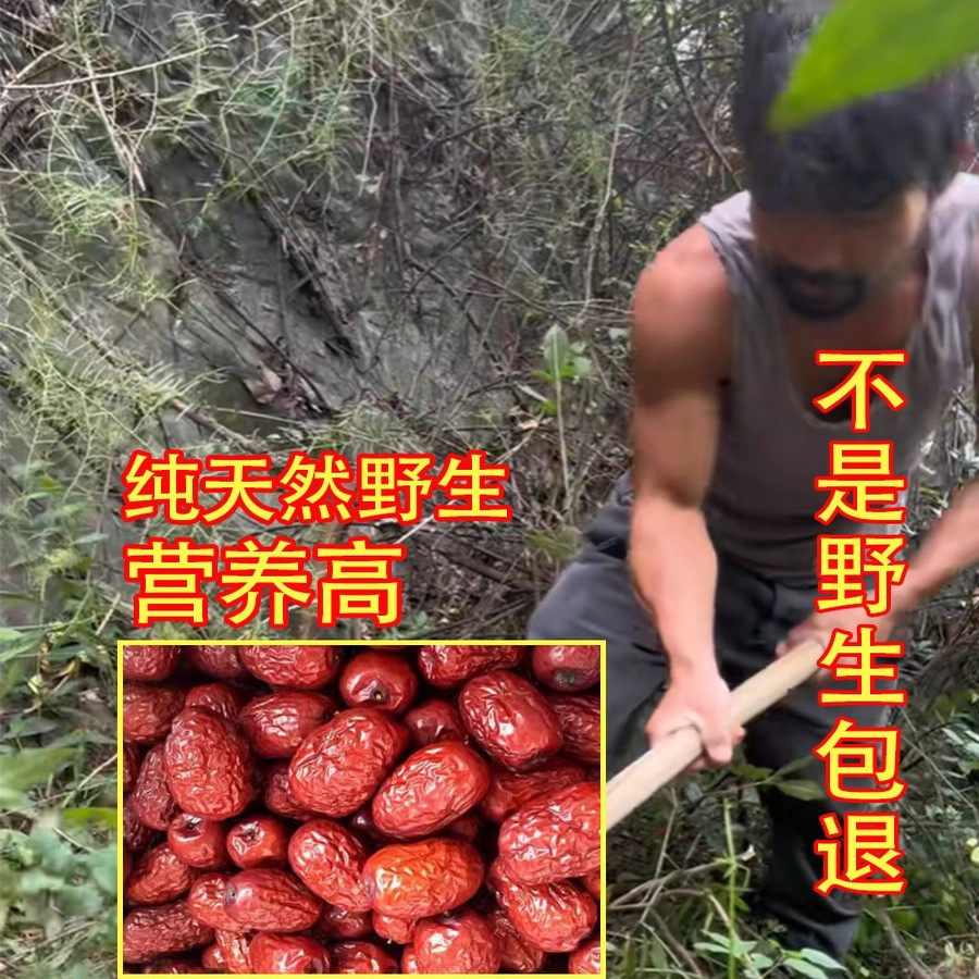 深山老树红枣野生红枣中药材500g天然无硫无添加药用养生滋补