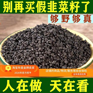 野生韭菜籽中药材500g老品种韭菜子炒熟韭菜籽粉男性泡酒搭菟丝子