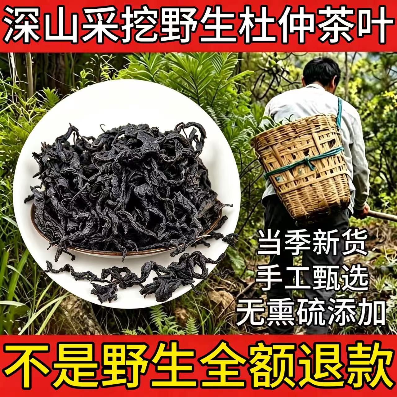 野生杜仲茶叶子正品嫩芽张家界中药材血压血脂三高茶春芽叶的功效