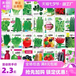 播种阳台农家盆栽香菜菠菜生菜韭菜小葱草莓籽孑大全 蔬菜种子四季