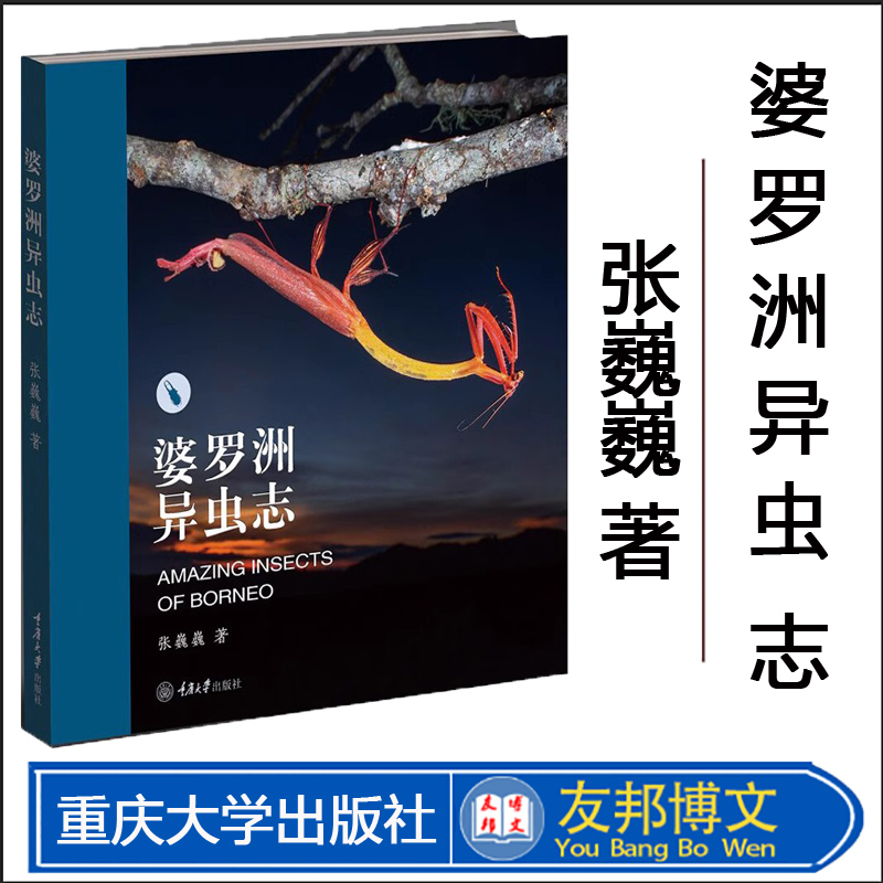 婆罗洲异虫志张巍巍现货