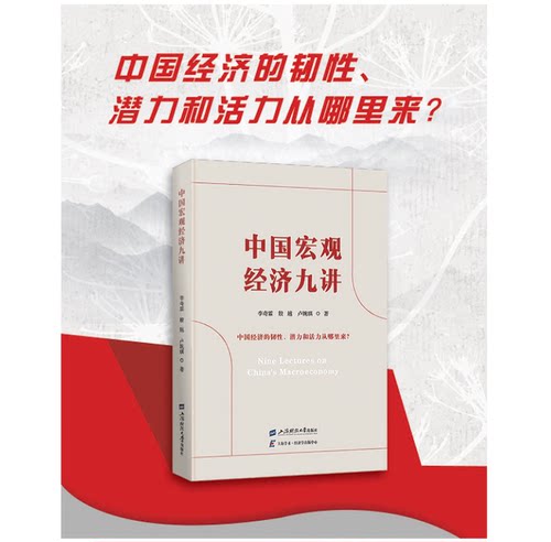 中国宏观经济九讲现货