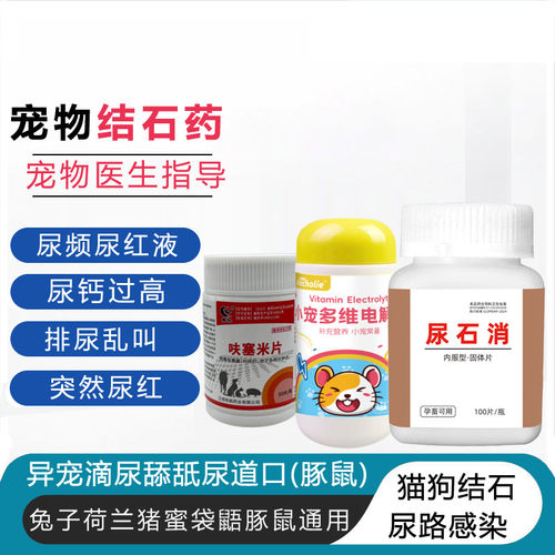 小宠荷兰猪兔子尿血尿红液药