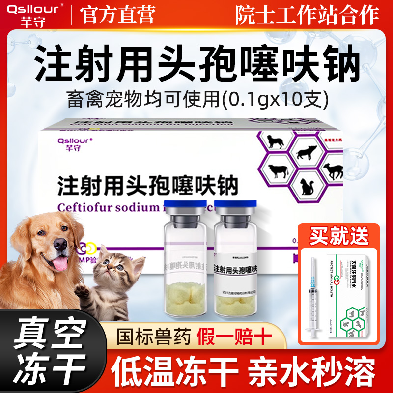 头孢噻呋钠注射兽用0.1g猫咪狗狗消炎针剂宠物犬猫用退烧药注射液