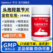 头孢羟氨苄片宠物狗狗猫咪犬用脓皮症伤口消炎感冒药尿路感染尿血