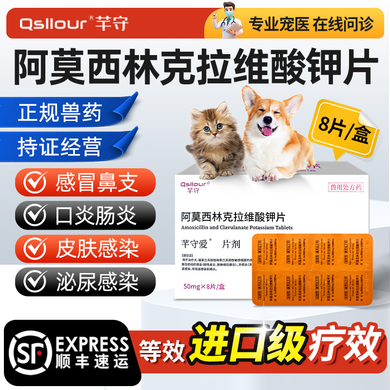 阿莫西林克拉维酸钾猫咪宠物狗狗用消炎药感冒猫鼻支速泌诺尿感染