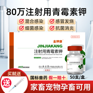 兽药青霉素钾兽用注射针剂青霉素80万猪药牛羊马狗猫抗菌消炎正品