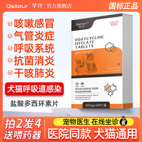 宠物感冒盐酸多西环素片鼻支专用