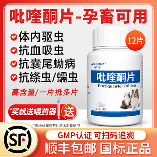 芊守狗狗猫咪驱虫药吡喹酮片猫打虫药宠物用绦虫线虫比喹酮片兽用