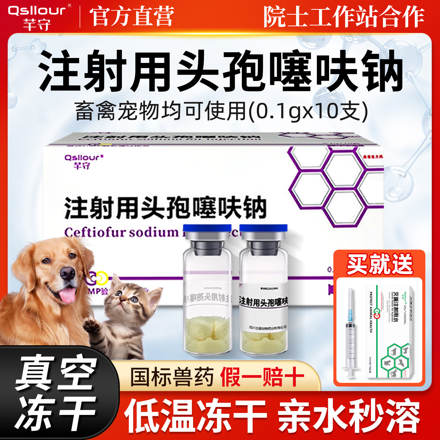 头孢噻呋钠注射兽用0.1g猫咪狗狗消炎针剂宠物犬猫用退烧药注射液