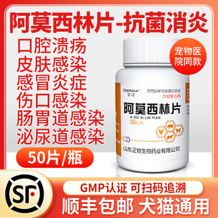 狗狗猫咪感冒药宠物猫用鼻支感染伤口消炎口炎速愈合诺阿莫西林片