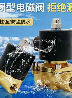 星辰常闭电磁阀水阀220V气阀24V 12V 2W025082W160152W25025