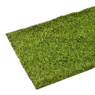 纱布鲜活苔藓黄缘龟水陆饲养缸造景微景观铺面青苔短绒小灰苔藓