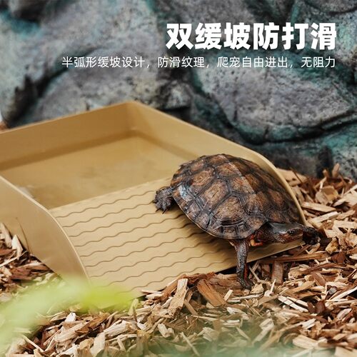 黄缘乌龟专用泡澡水盆养龟用盆