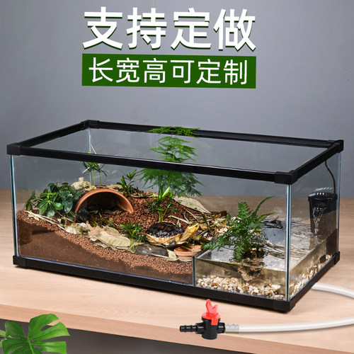 黄缘龟专用玻璃水陆缸生态造景箱
