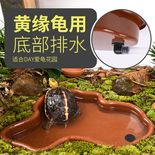 黄缘半水龟专用水盆造景用水盘