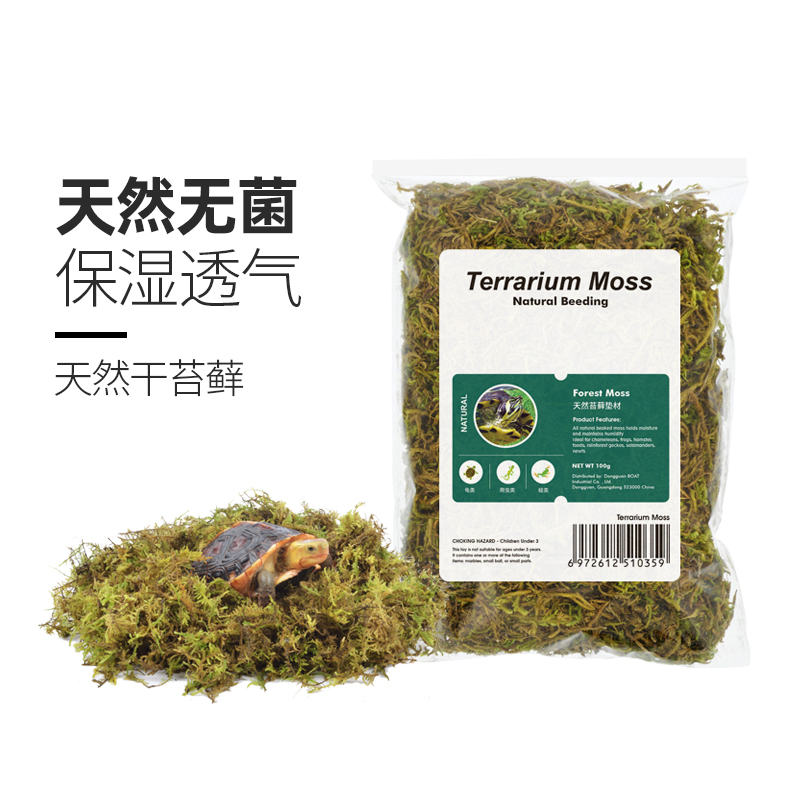乌龟爬宠冬眠苔藓水苔过冬