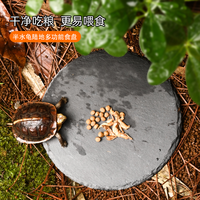 黄缘龟喂食盘岩石板片石垫材