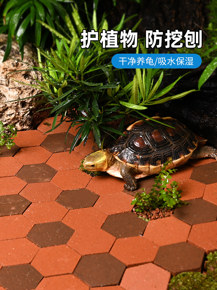 黄缘龟箱造景专用陶土砖小红砖安缘饲养缸环镜保湿地砖陆龟用垫材