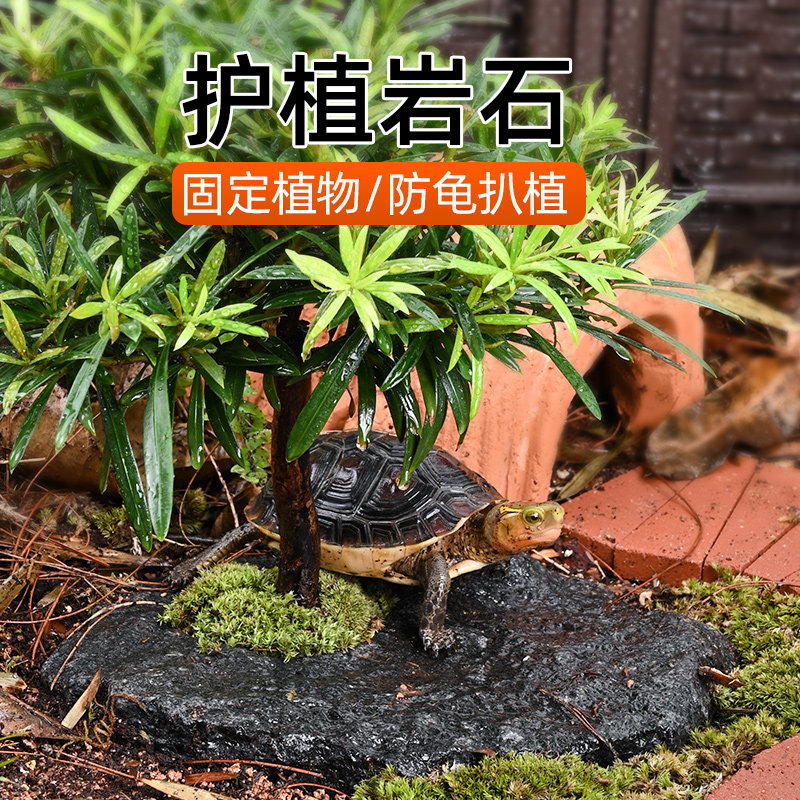 天然护植真岩石乌龟晒台黄缘半水龟造景植物固定防龟扒土休息平台