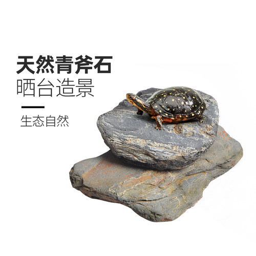 大号高水位生态躲避用品晒背台