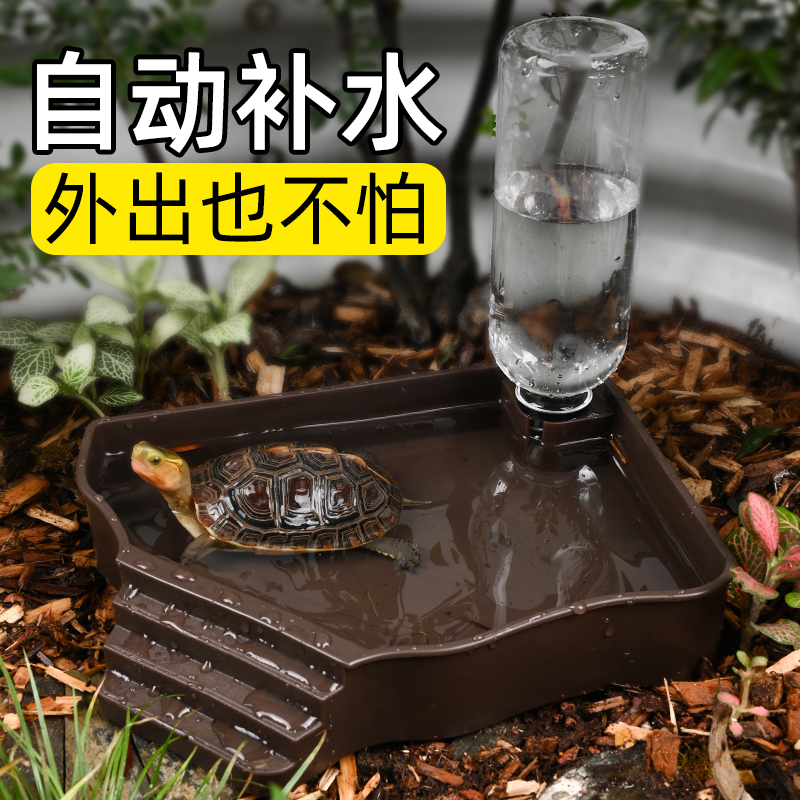 黄缘龟专用泡澡盆半水龟水盆