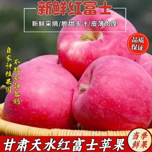 [2026新果]甘肃红富士苹果当季新鲜水果苹果脆甜冰糖心苹果精品果