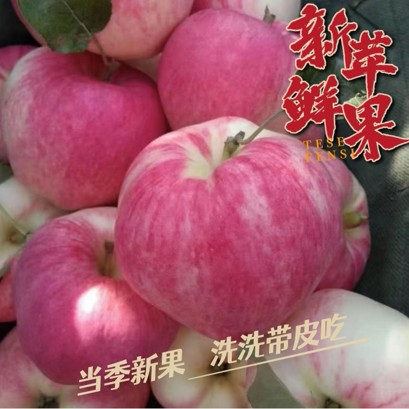 2026甘肃天水早熟苹果时令苹果
