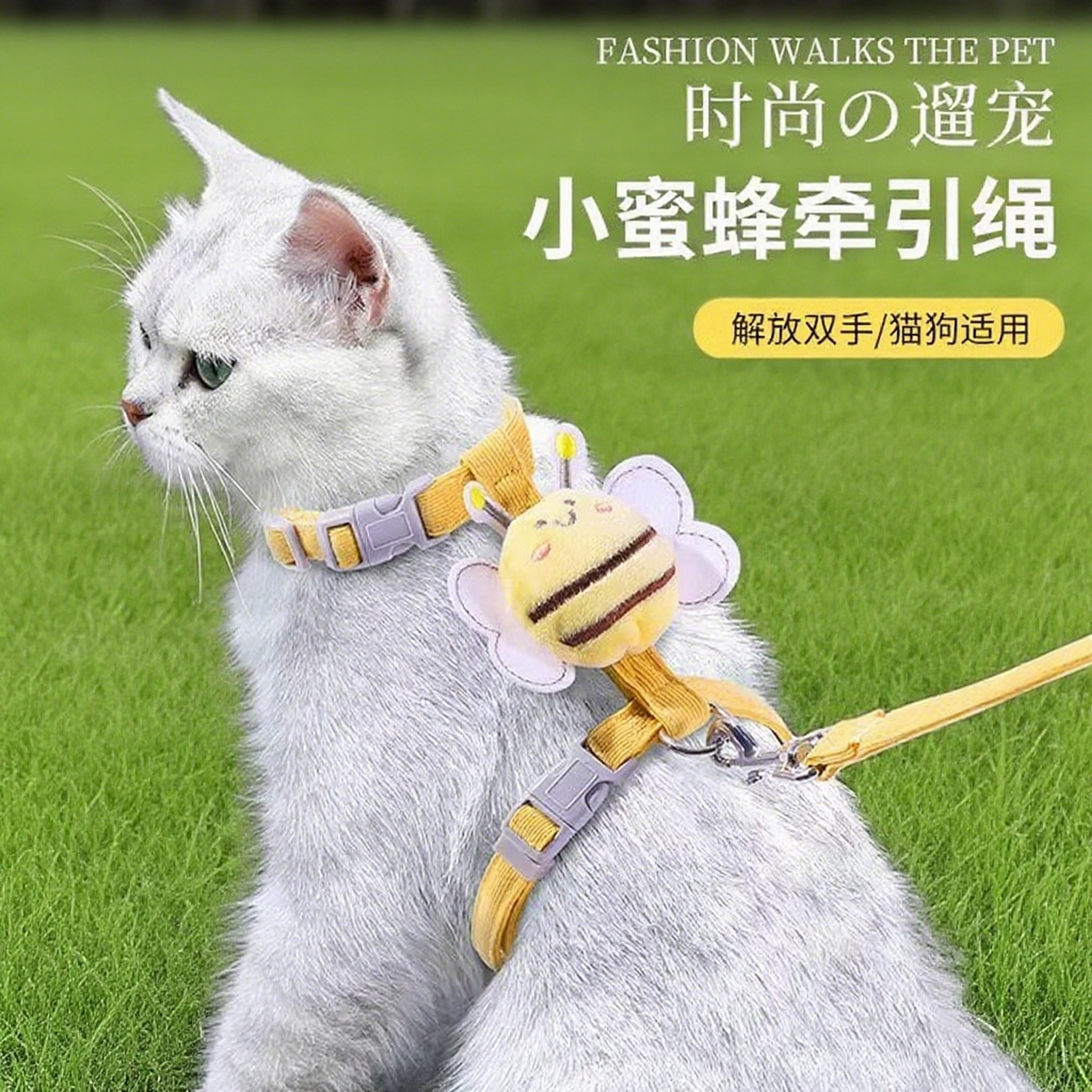 猫咪牵引绳防挣脱外出专用宠物兔子背心遛猫专用溜小猫链子猫绳子
