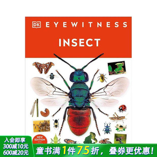 Eyewitness 进口童书 DK视界 英文儿童故事 原版 艺术插画绘本 Insect 昆虫 现货