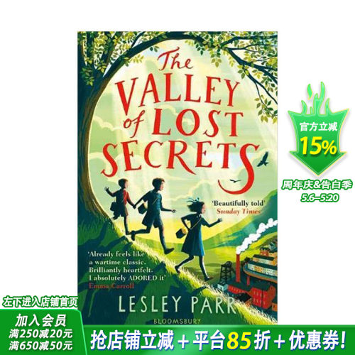 【现货】神秘谷 The Valley of Lost Secrets 英文原版青少年小说【善优童书】